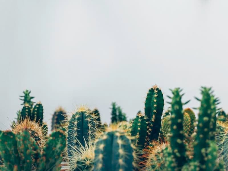 Transform Your Space with